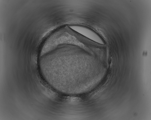 X0000090440539200708031156