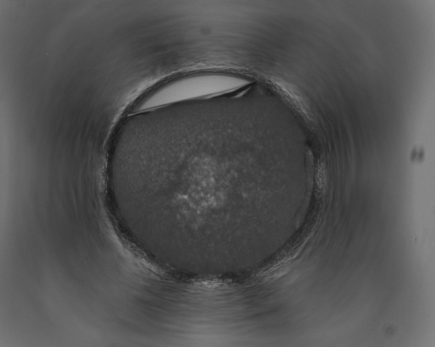 X0000090440540200708031156