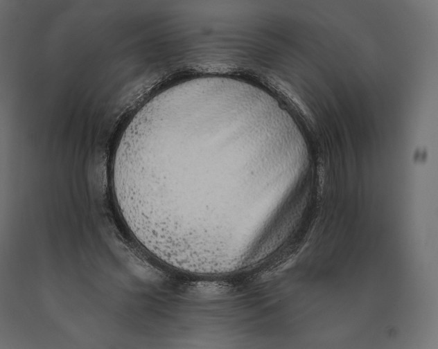 X0000090440541200708031156