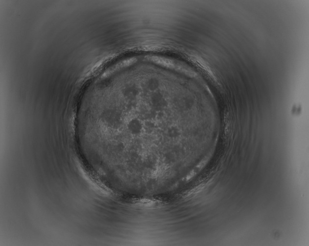 X0000090440542200708031156