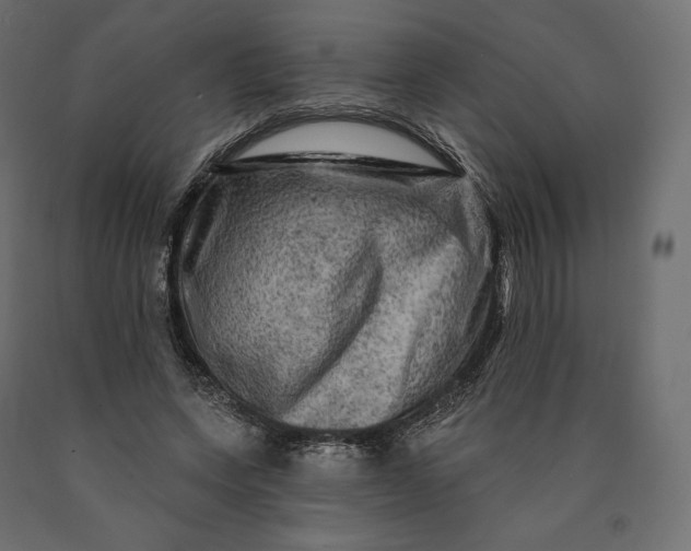 X0000090440543200708031156