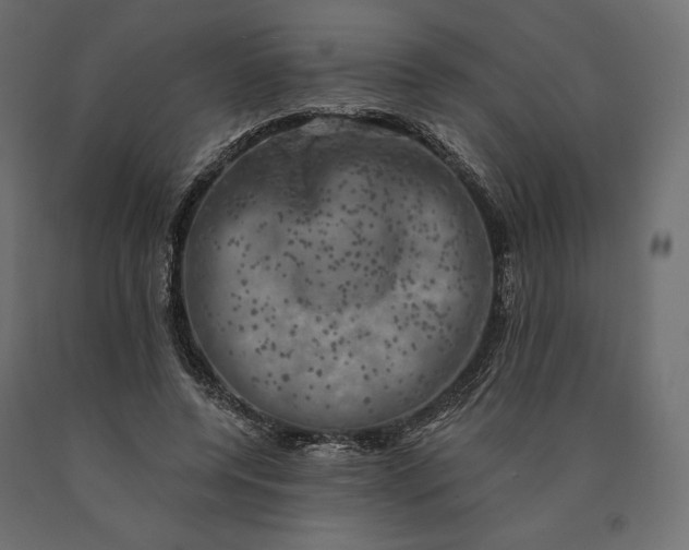 X0000090440544200708031156