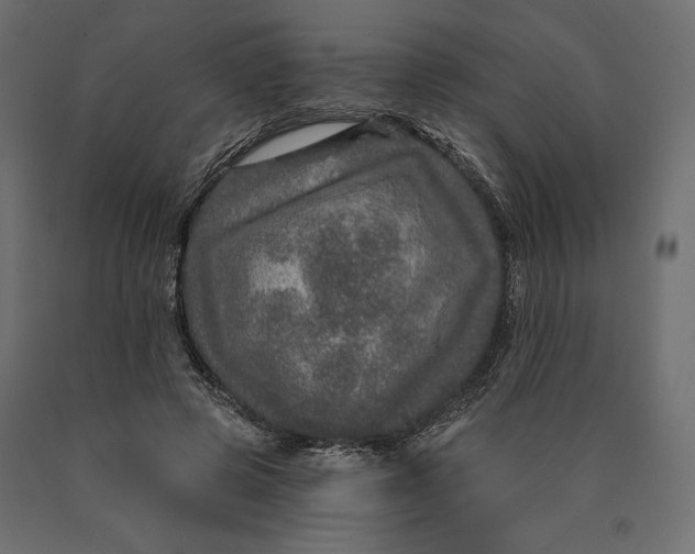 X0000090440545200708031156