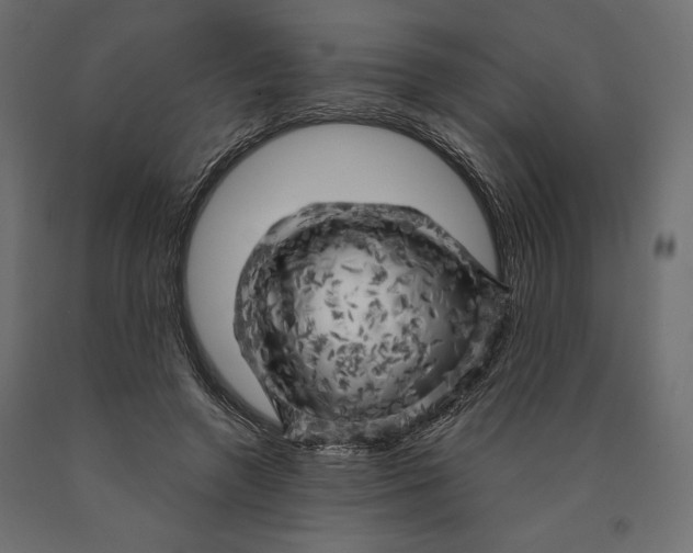 X0000090440546200708031156