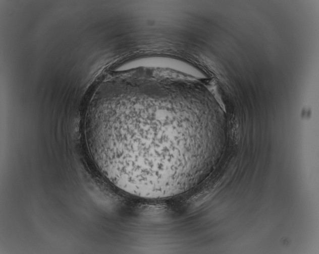 X0000090440548200708031156