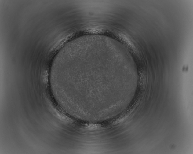 X0000090440549200708031156