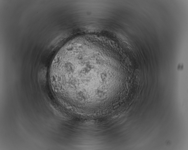 X0000090440550200708031156