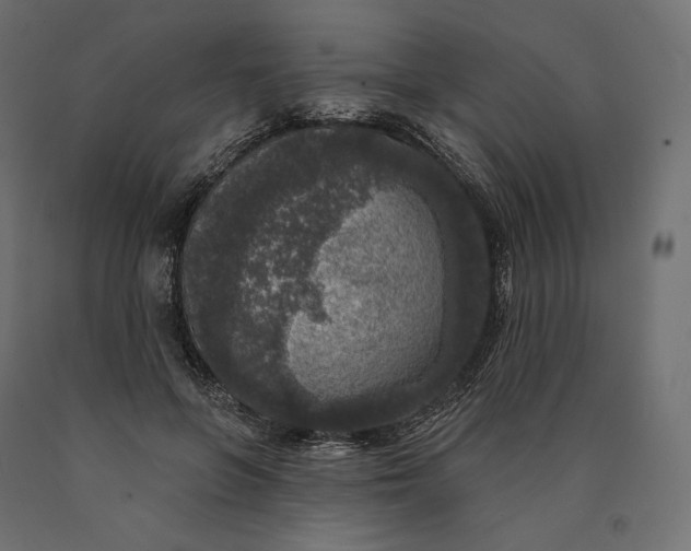 X0000090440551200708031156