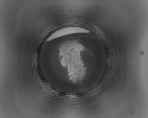 X0000090440552200708031156