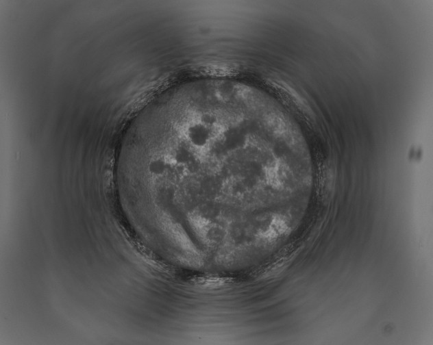 X0000090440553200708031156