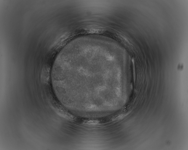 X0000090440554200708031156