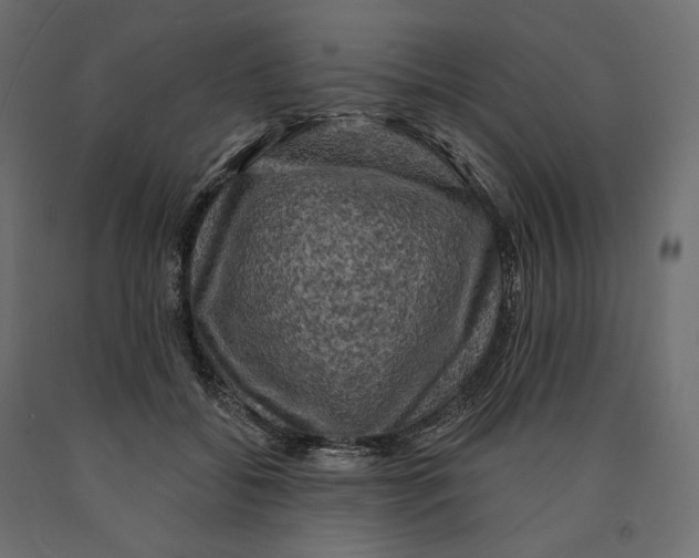 X0000090440556200708031156