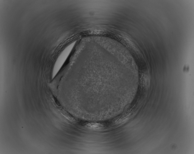 X0000090440557200708031156