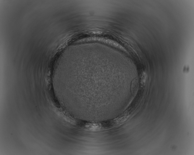 X0000090440559200708031157