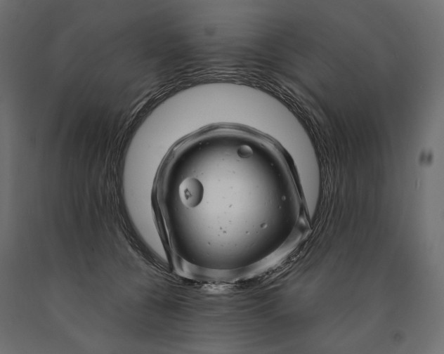 X0000090440560200708031157