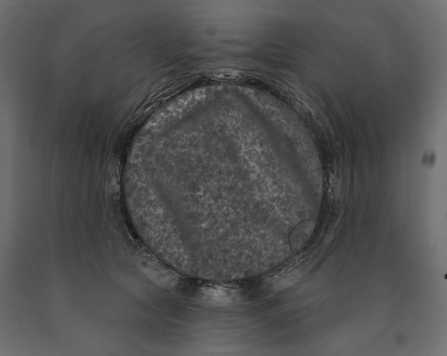 X0000090440561200708031157