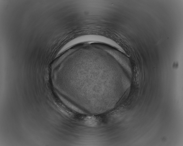 X0000090440562200708031157