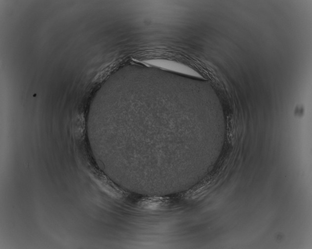 X0000090440563200708031157