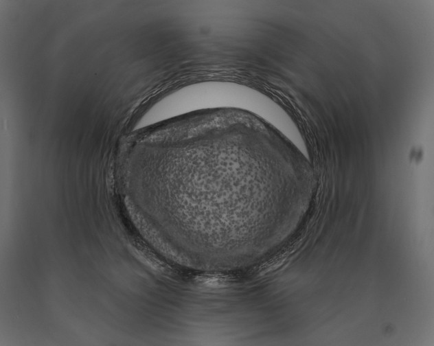 X0000090440564200708031157