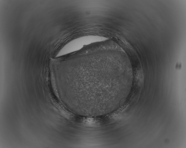 X0000090440565200708031157