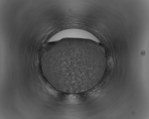 X0000090440566200708031157