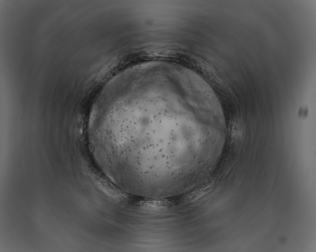 X0000090440567200708031157