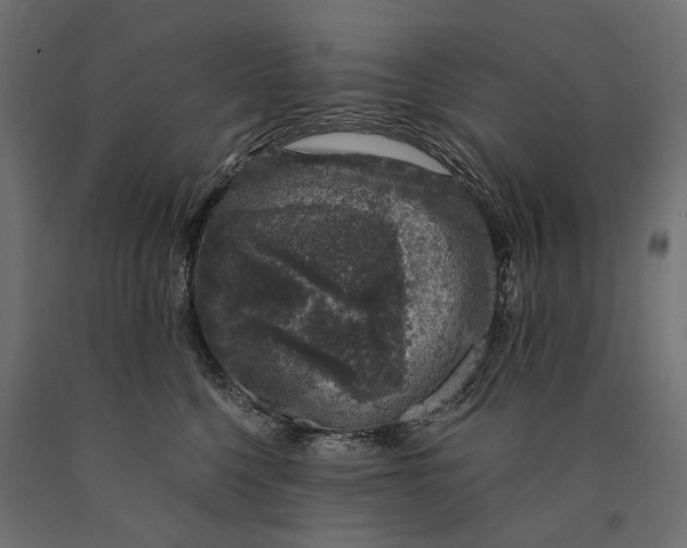 X0000090440568200708031157