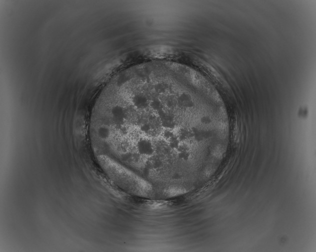 X0000090440569200708031157