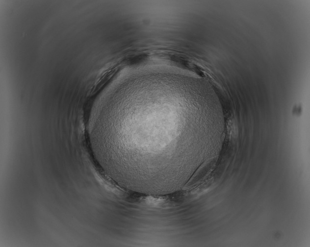 X0000090440570200708031157