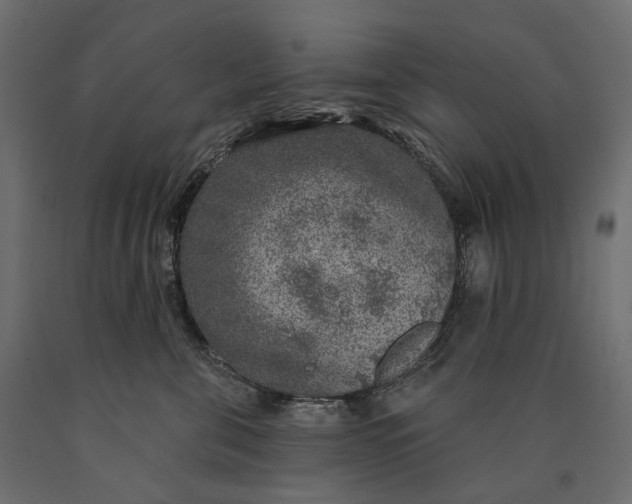 X0000090440571200708031157