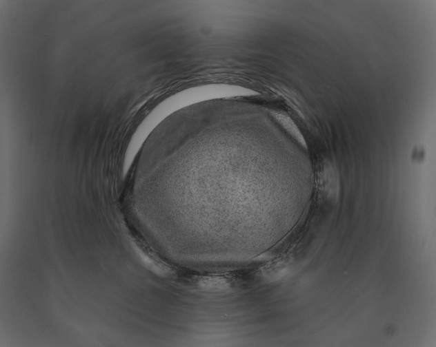 X0000090440572200708031157