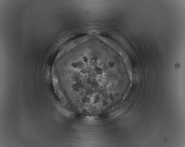 X0000090440573200708031157