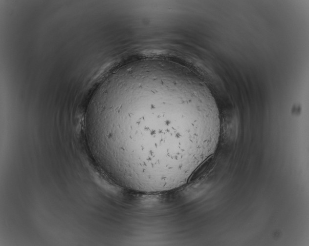 X0000090440574200708031157