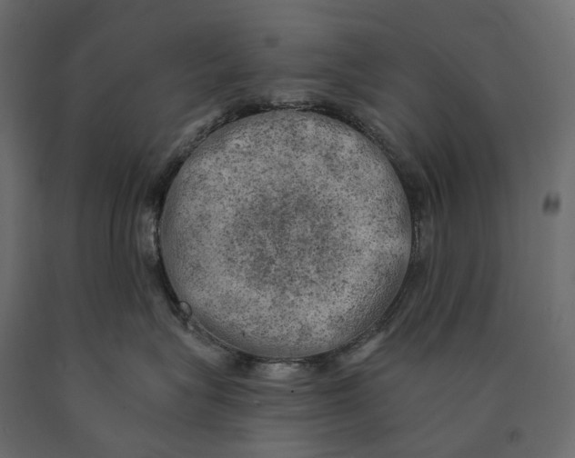 X0000090440575200708031157