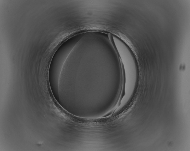 X0000090440577200708031156