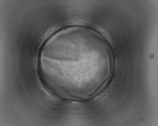 X0000090440578200708031156