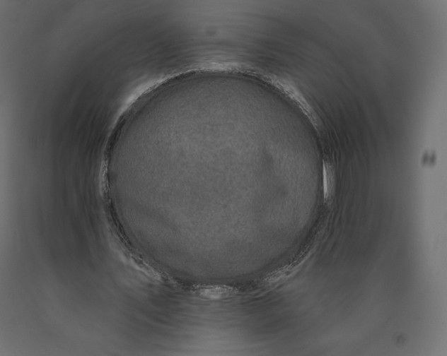 X0000090440579200708031156