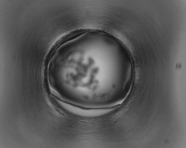 X0000090440580200708031156