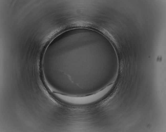 X0000090440581200708031156