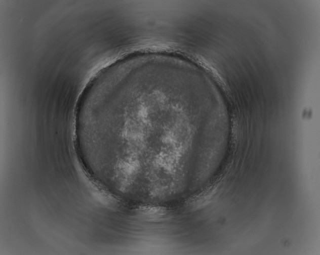 X0000090440582200708031156