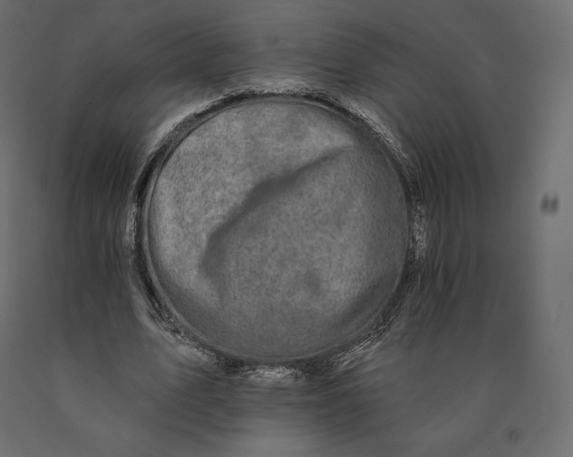 X0000090440583200708031156