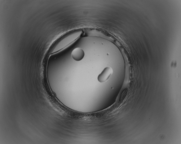 X0000090440584200708031156