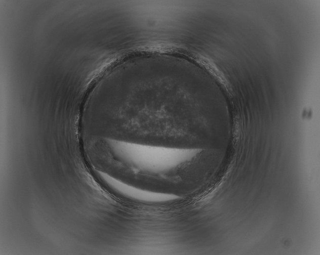 X0000090440585200708031156