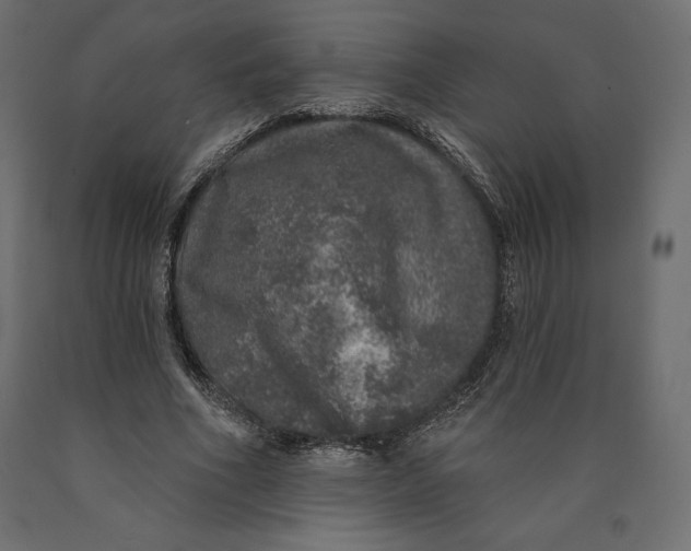 X0000090440586200708031156