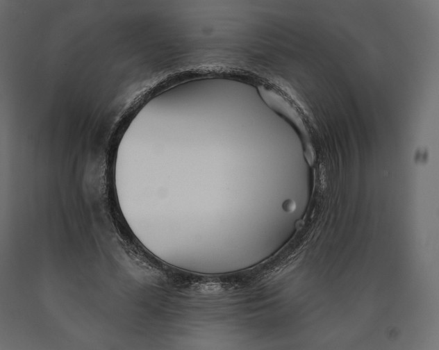 X0000090440588200708031156