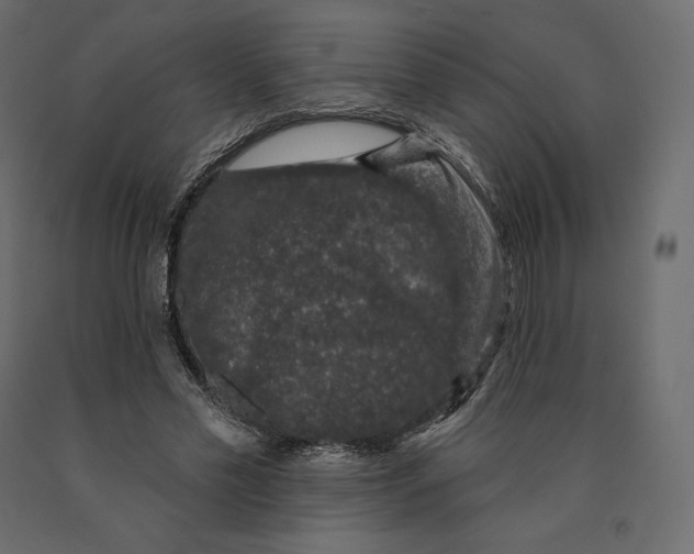 X0000090440589200708031156