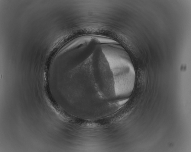 X0000090440590200708031156