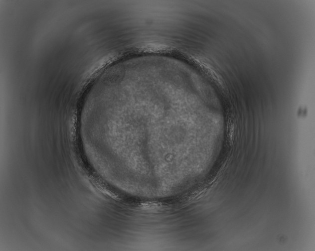 X0000090440591200708031156