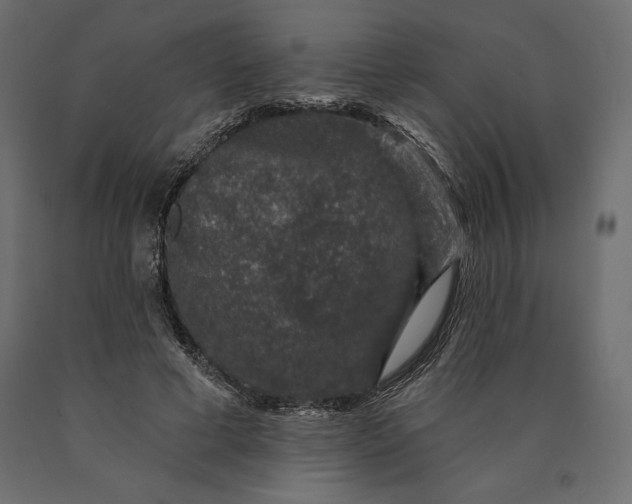 X0000090440593200708031156