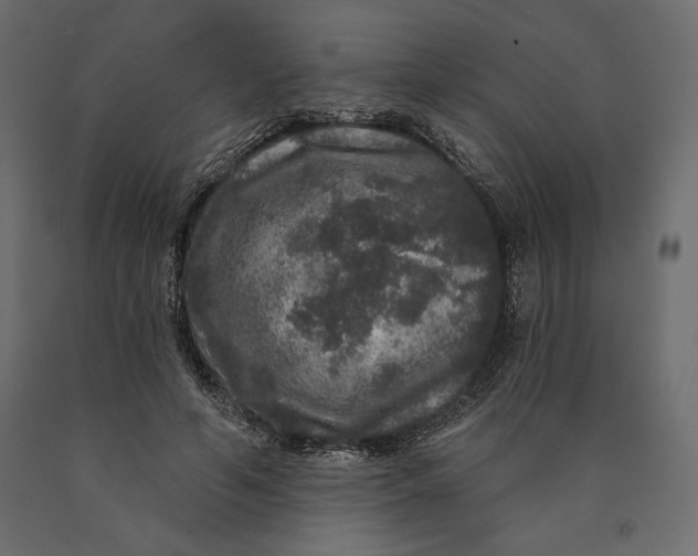 X0000090440594200708031156